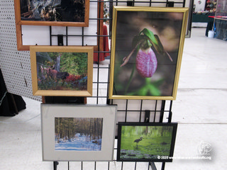 Framed nature photography