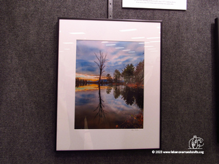 Framed nature photography