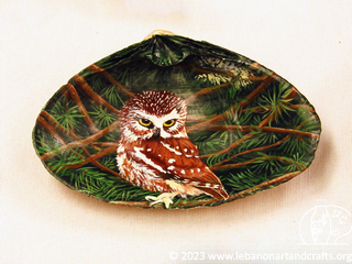 Owl painted on a shell