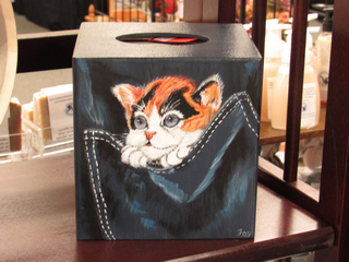 Curious cat Kleenex box