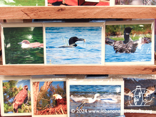 Blank greeting cards