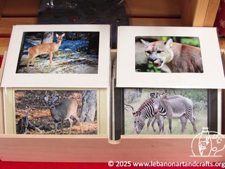 Wildlife cards